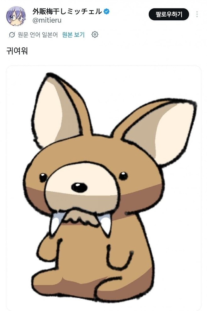 고라니를 처음 본 일본인들 반응