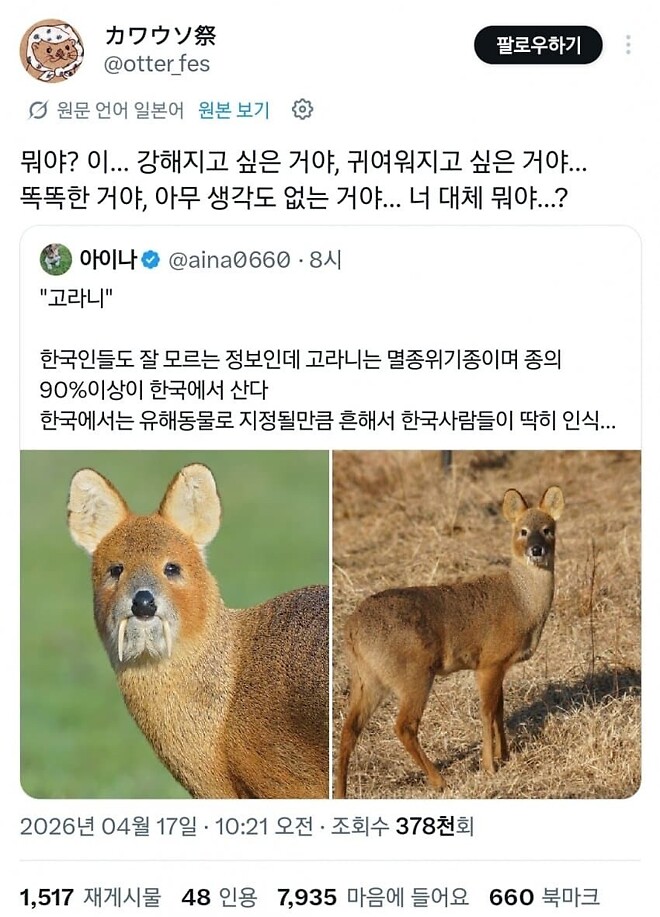 고라니를 처음 본 일본인들 반응