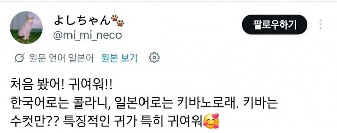 고라니를 처음 본 일본인들 반응