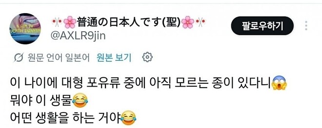 고라니를 처음 본 일본인들 반응