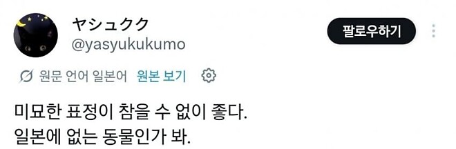 고라니를 처음 본 일본인들 반응