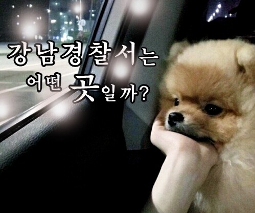 룸살롱 접대에 사건 덮은 경찰, 다른 사기 사건도 암장한 정황