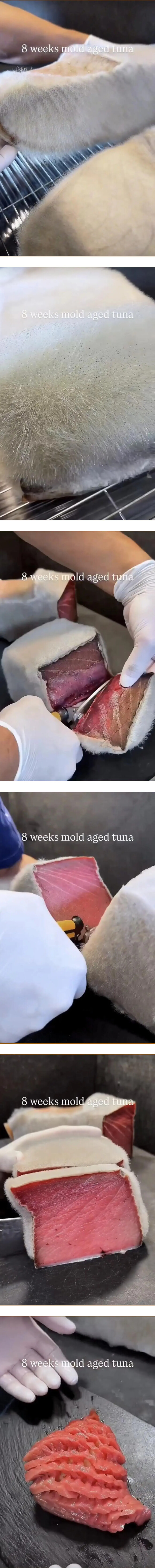 [펌] 논란?중인 8주숙성 참치