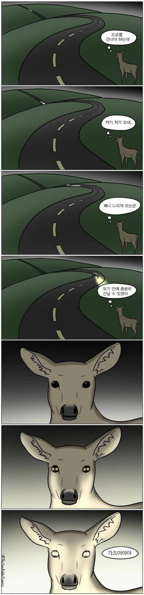 고라니를 처음 본 일본인들 반응