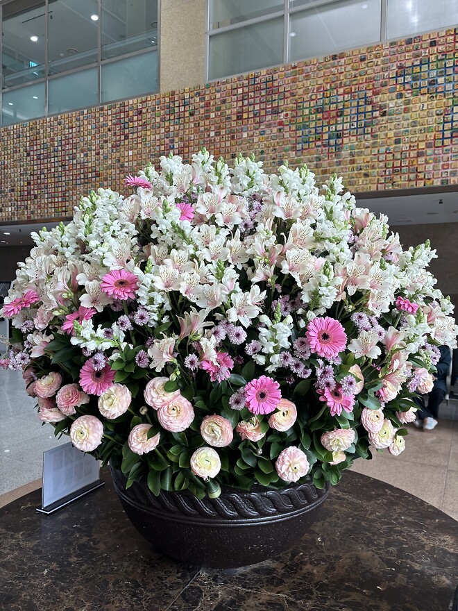 한국의 봄을 제대로 느끼고 돌아갑니다.