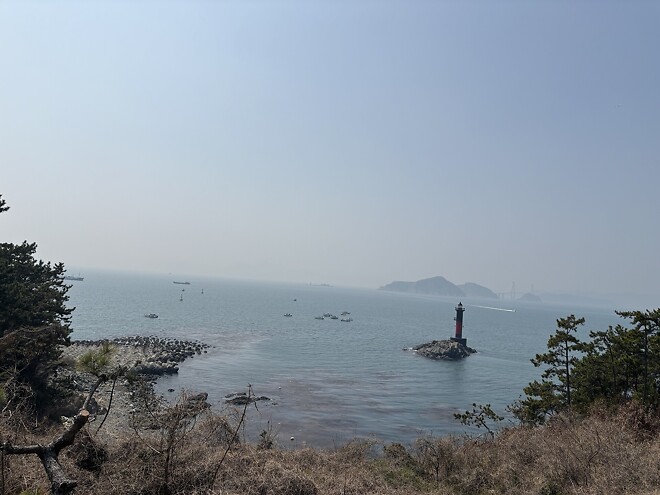 한국의 봄을 제대로 느끼고 돌아갑니다.