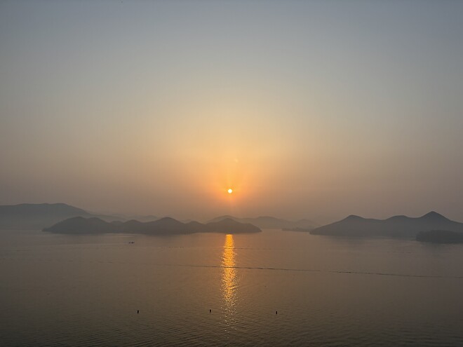 한국의 봄을 제대로 느끼고 돌아갑니다.