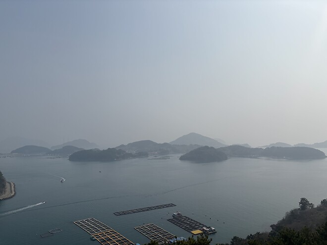 한국의 봄을 제대로 느끼고 돌아갑니다.