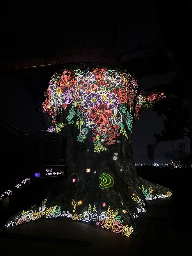 한국의 봄을 제대로 느끼고 돌아갑니다.