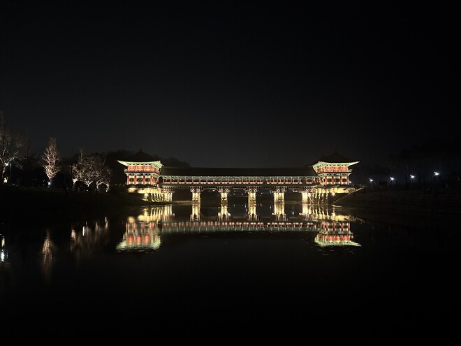 한국의 봄을 제대로 느끼고 돌아갑니다.