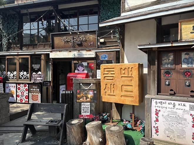 한국의 봄을 제대로 느끼고 돌아갑니다.