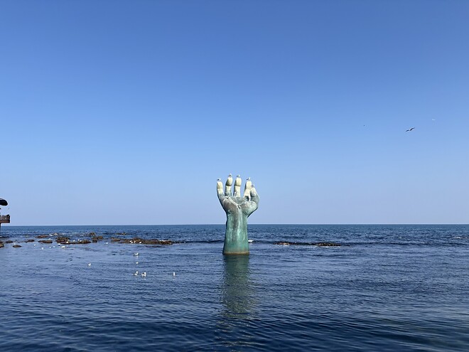 한국의 봄을 제대로 느끼고 돌아갑니다.