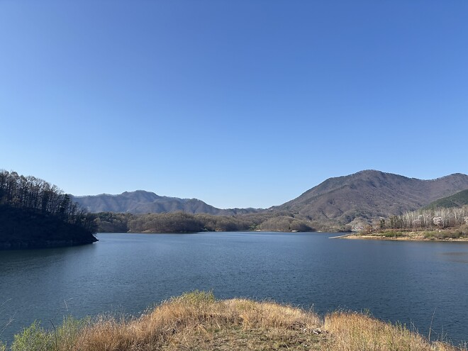 한국의 봄을 제대로 느끼고 돌아갑니다.