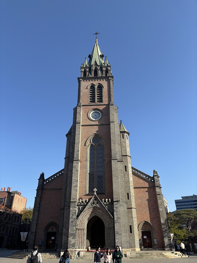 한국의 봄을 제대로 느끼고 돌아갑니다.