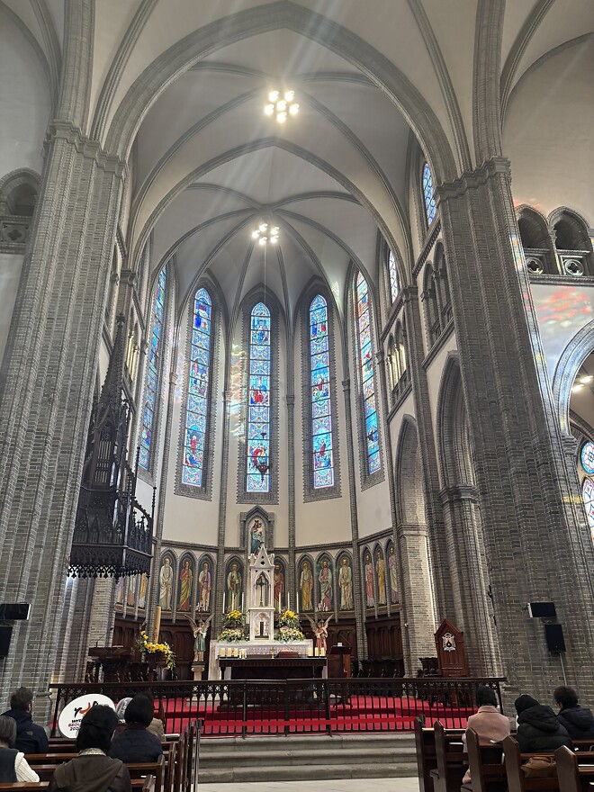 한국의 봄을 제대로 느끼고 돌아갑니다.