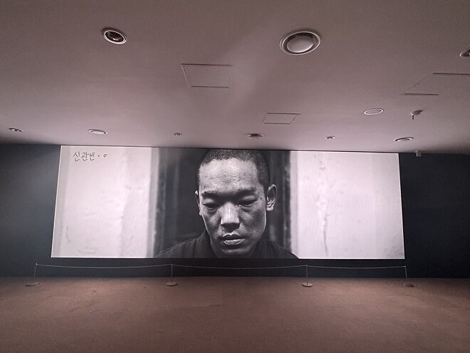 한국의 봄을 제대로 느끼고 돌아갑니다.