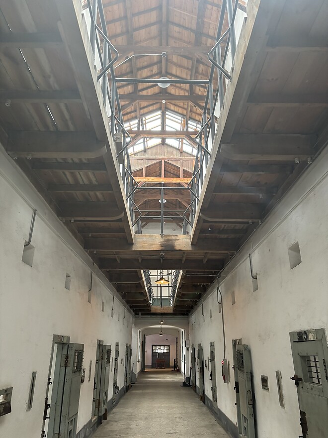 한국의 봄을 제대로 느끼고 돌아갑니다.