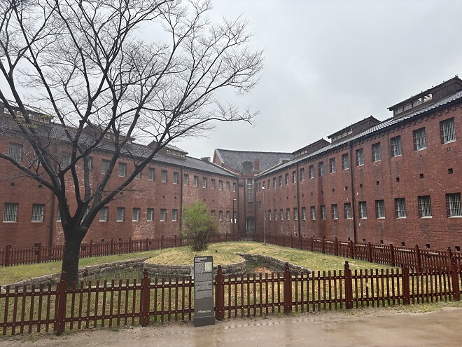 한국의 봄을 제대로 느끼고 돌아갑니다.