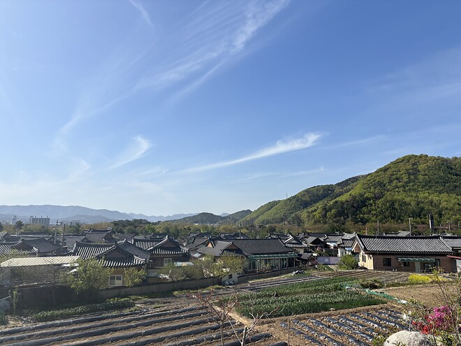 한국의 봄을 제대로 느끼고 돌아갑니다.