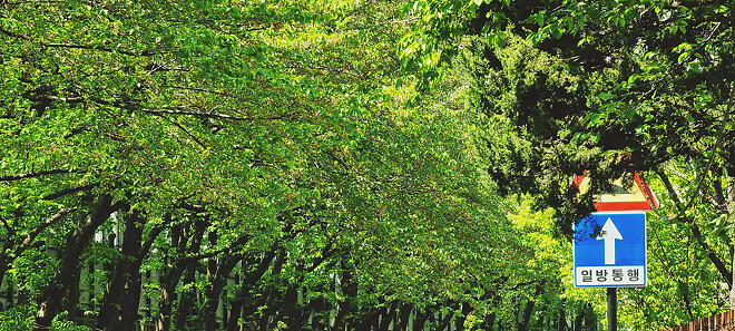 여름으로 일방통행.jpg