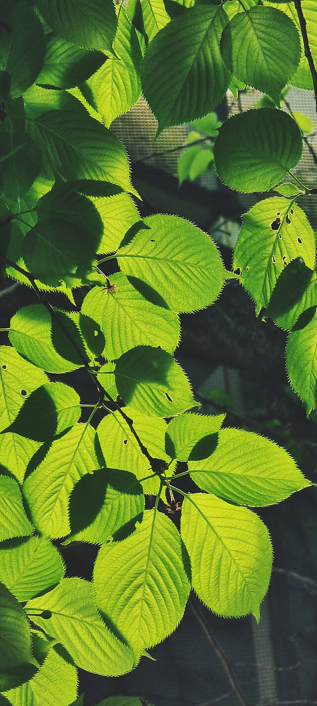 여름으로 일방통행.jpg