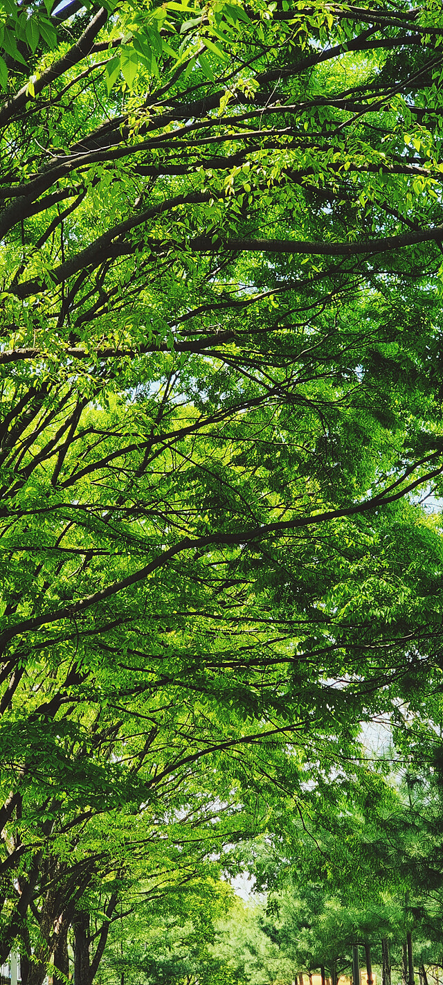 여름으로 일방통행.jpg