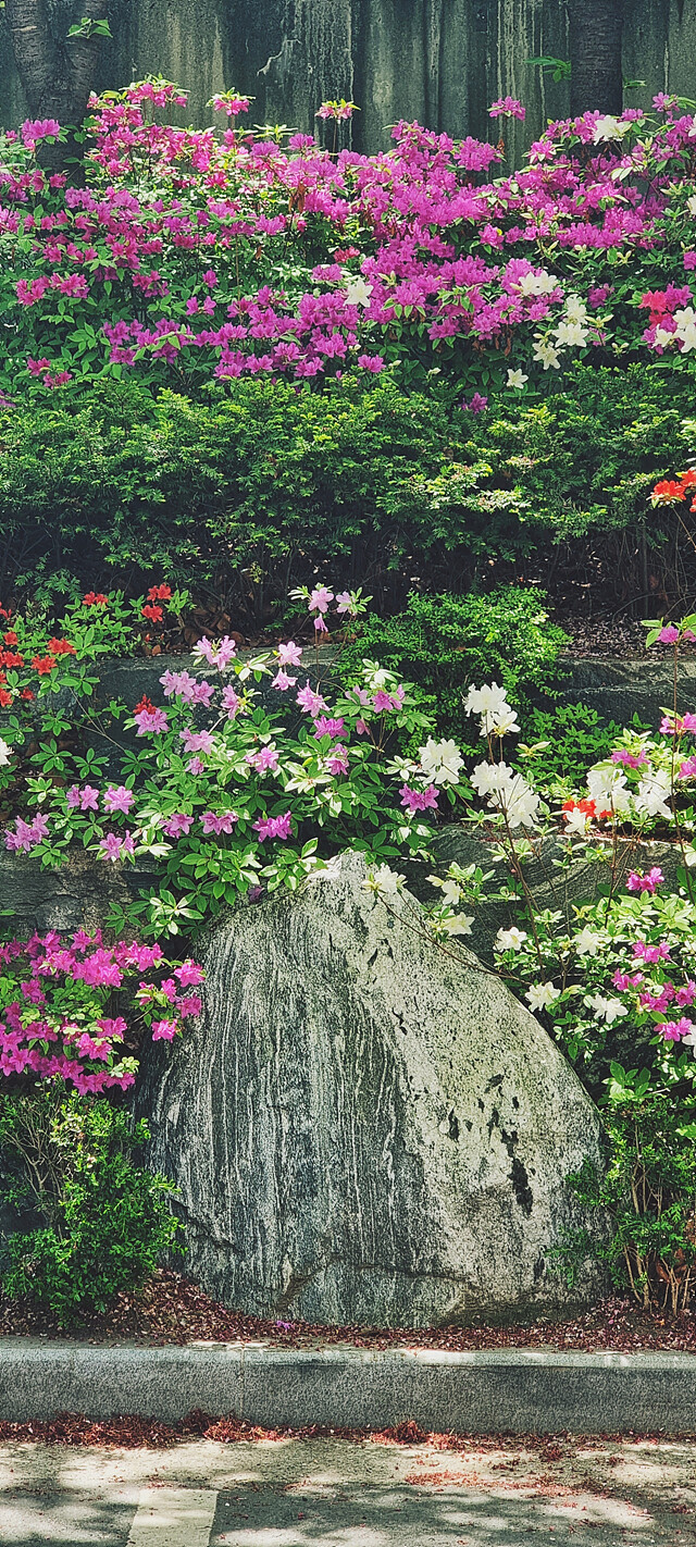 여름으로 일방통행.jpg