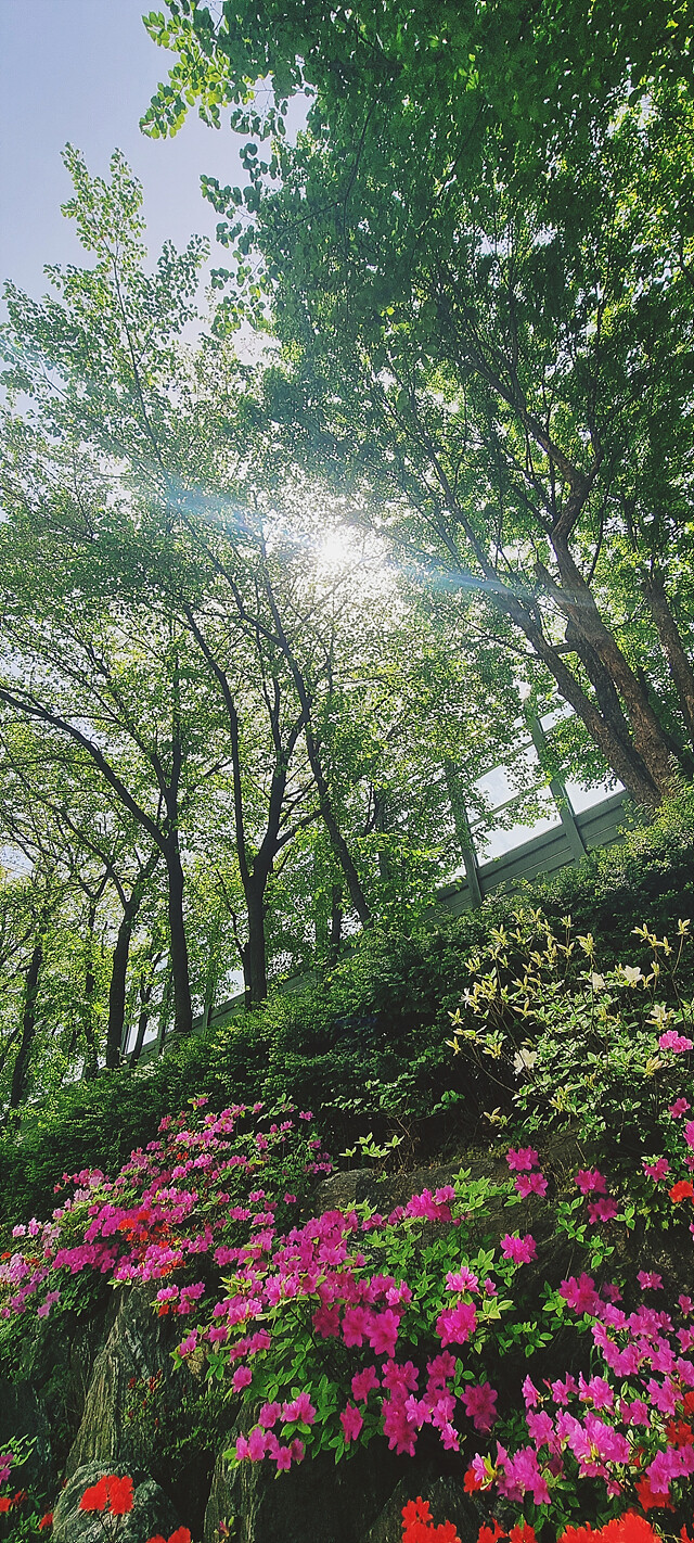 여름으로 일방통행.jpg