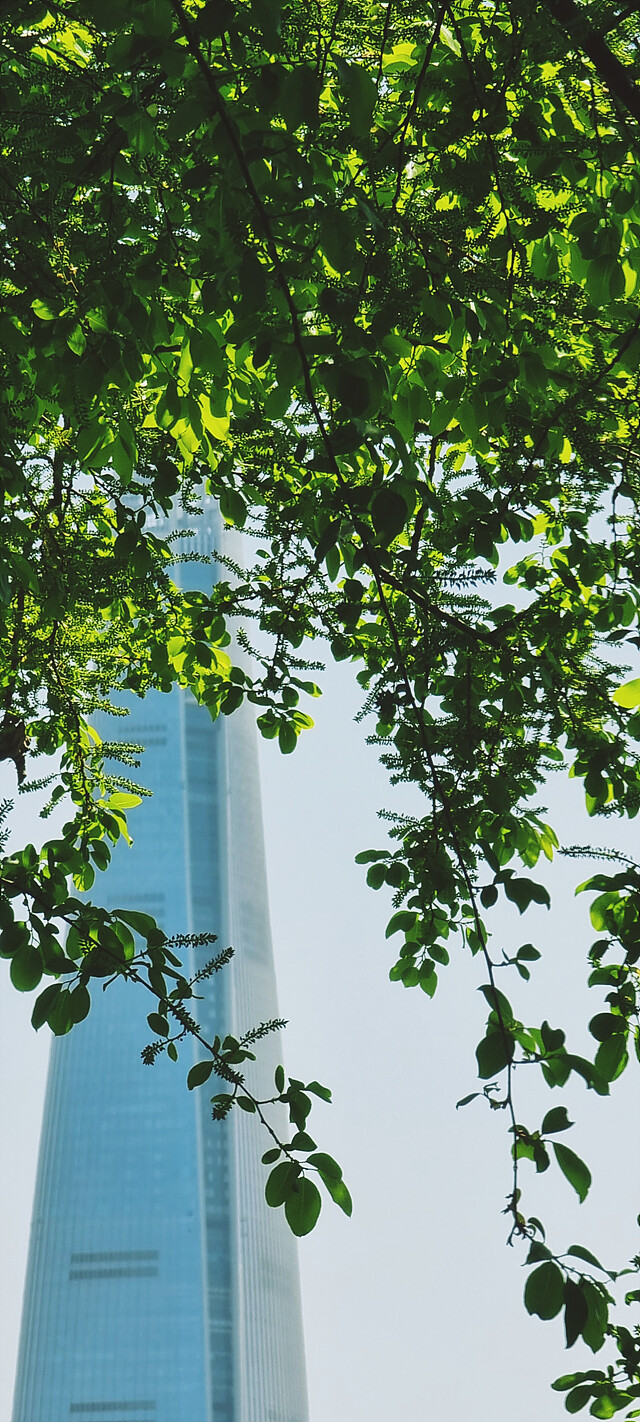 여름으로 일방통행.jpg