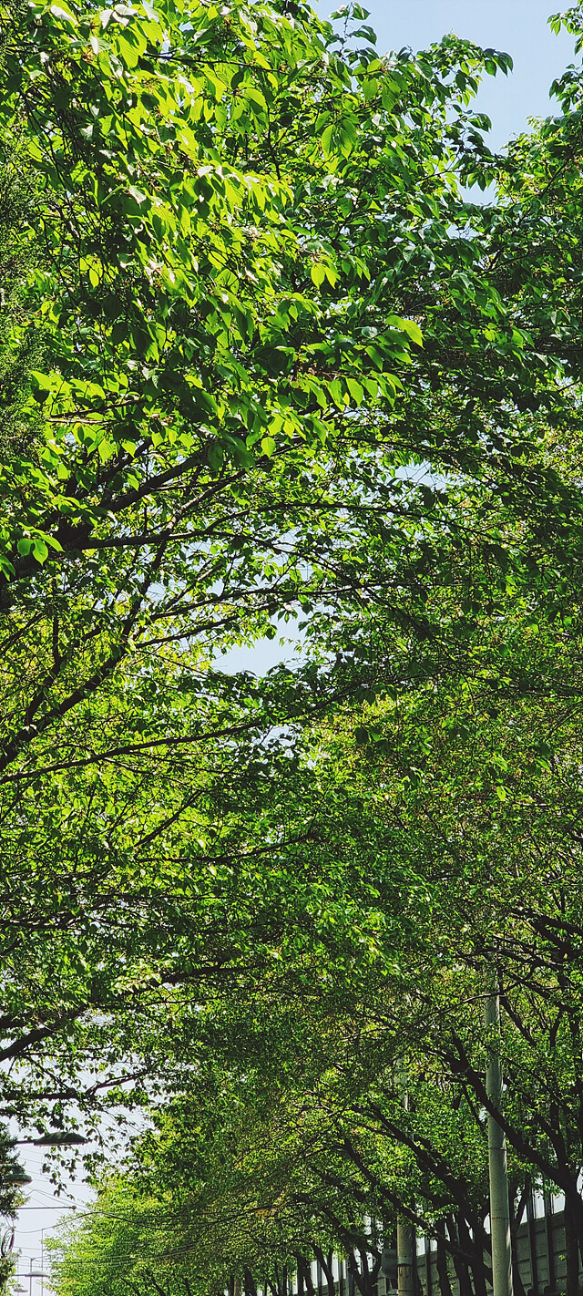 여름으로 일방통행.jpg