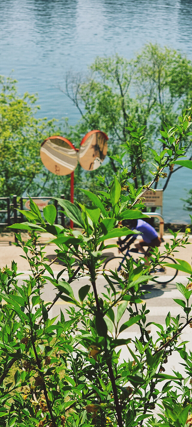 여름으로 일방통행.jpg