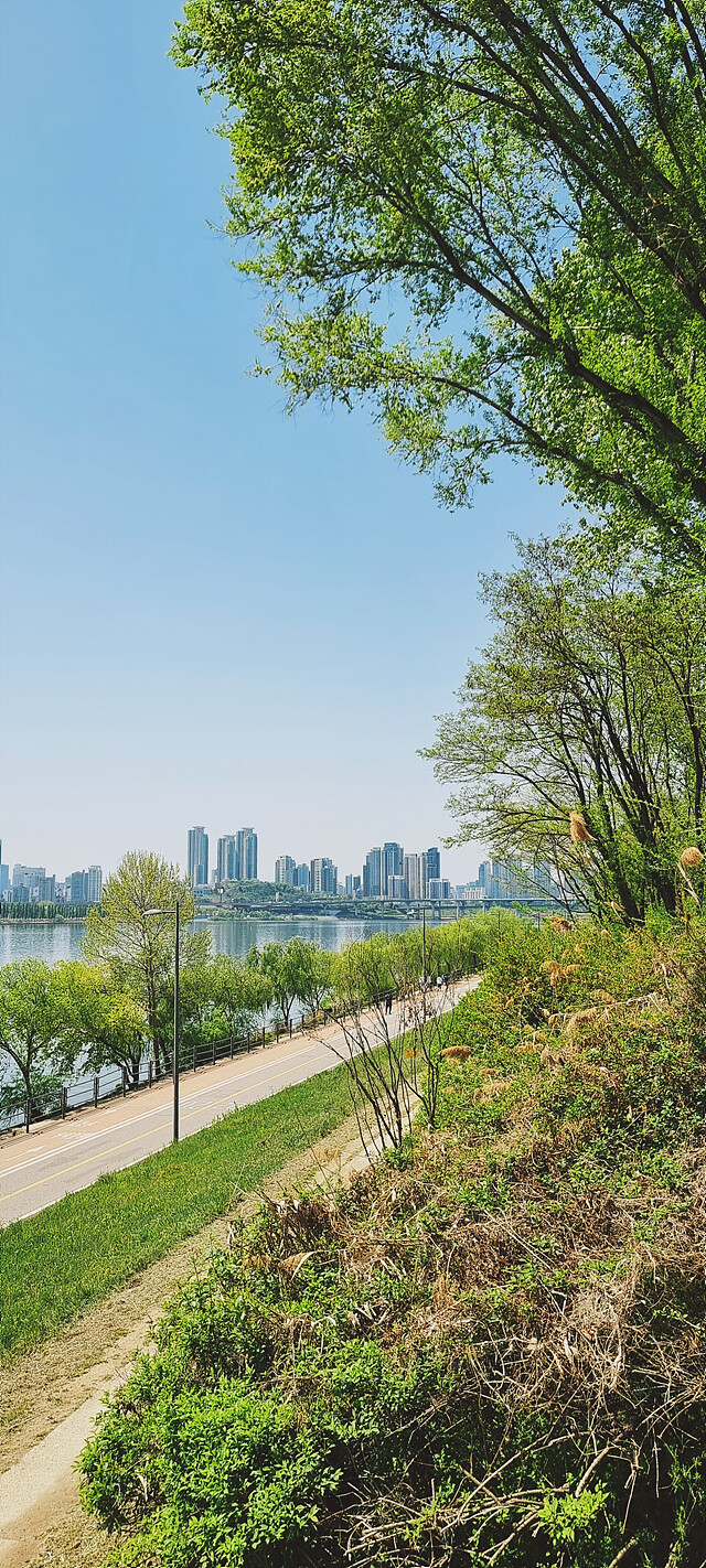 여름으로 일방통행.jpg