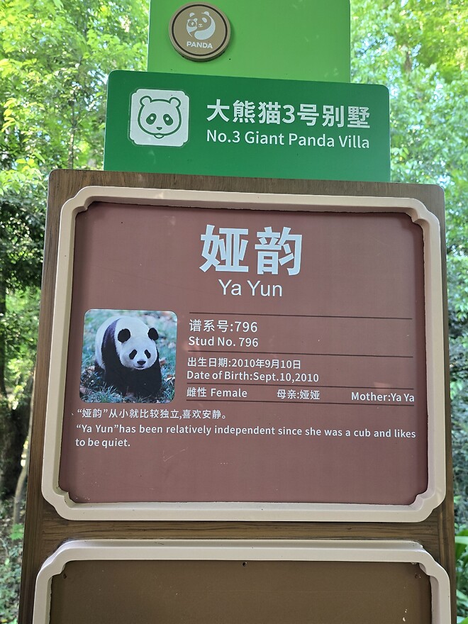 마파두부 원조집에서 점심했습니다.