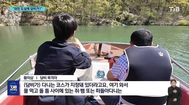 &amp;#039;폴짝&amp;#039; 하더니 &amp;#039;콱&amp;#039;..담비의 &amp;#039;뱀 사냥&amp;#039; 순간 포착