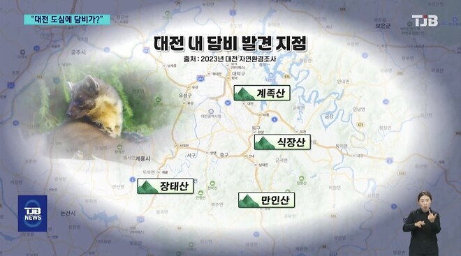 &amp;#039;폴짝&amp;#039; 하더니 &amp;#039;콱&amp;#039;..담비의 &amp;#039;뱀 사냥&amp;#039; 순간 포착