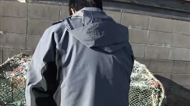 대마도는 어떻게 길고양이 개체수를 줄였나?