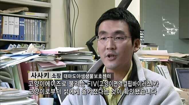 대마도는 어떻게 길고양이 개체수를 줄였나?