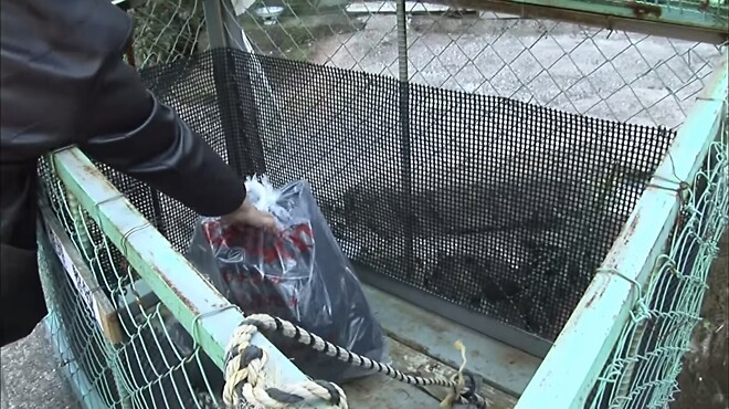 대마도는 어떻게 길고양이 개체수를 줄였나?