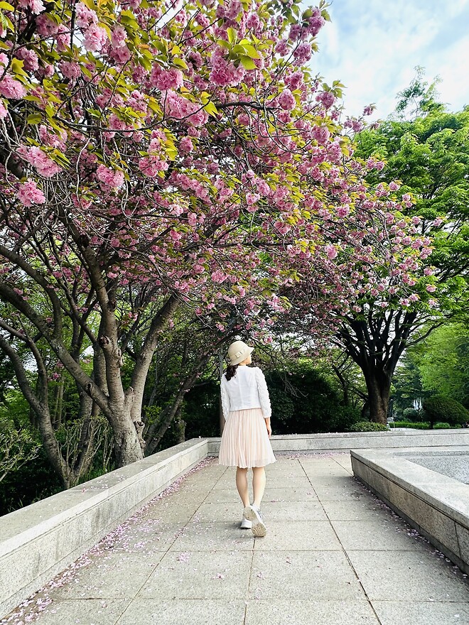 벚꽃엔딩&hellip;.