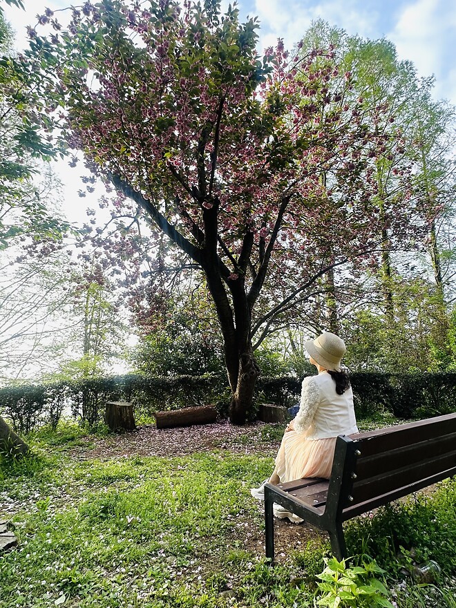 벚꽃엔딩&hellip;.