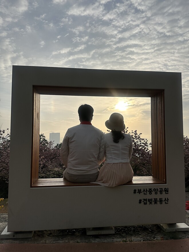 벚꽃엔딩&hellip;.