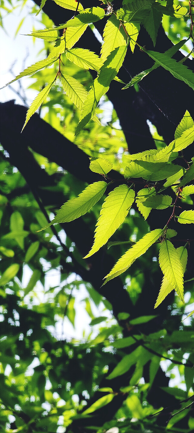 외부 온도 30도 현황.jpg