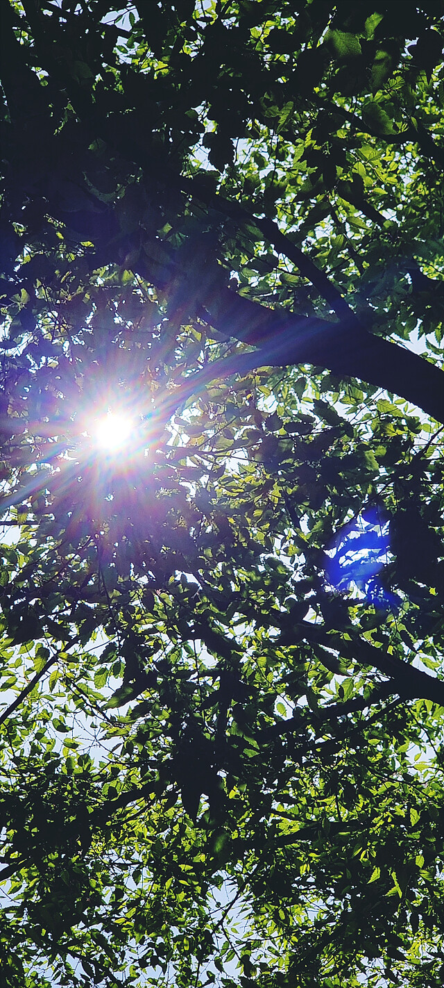 외부 온도 30도 현황.jpg