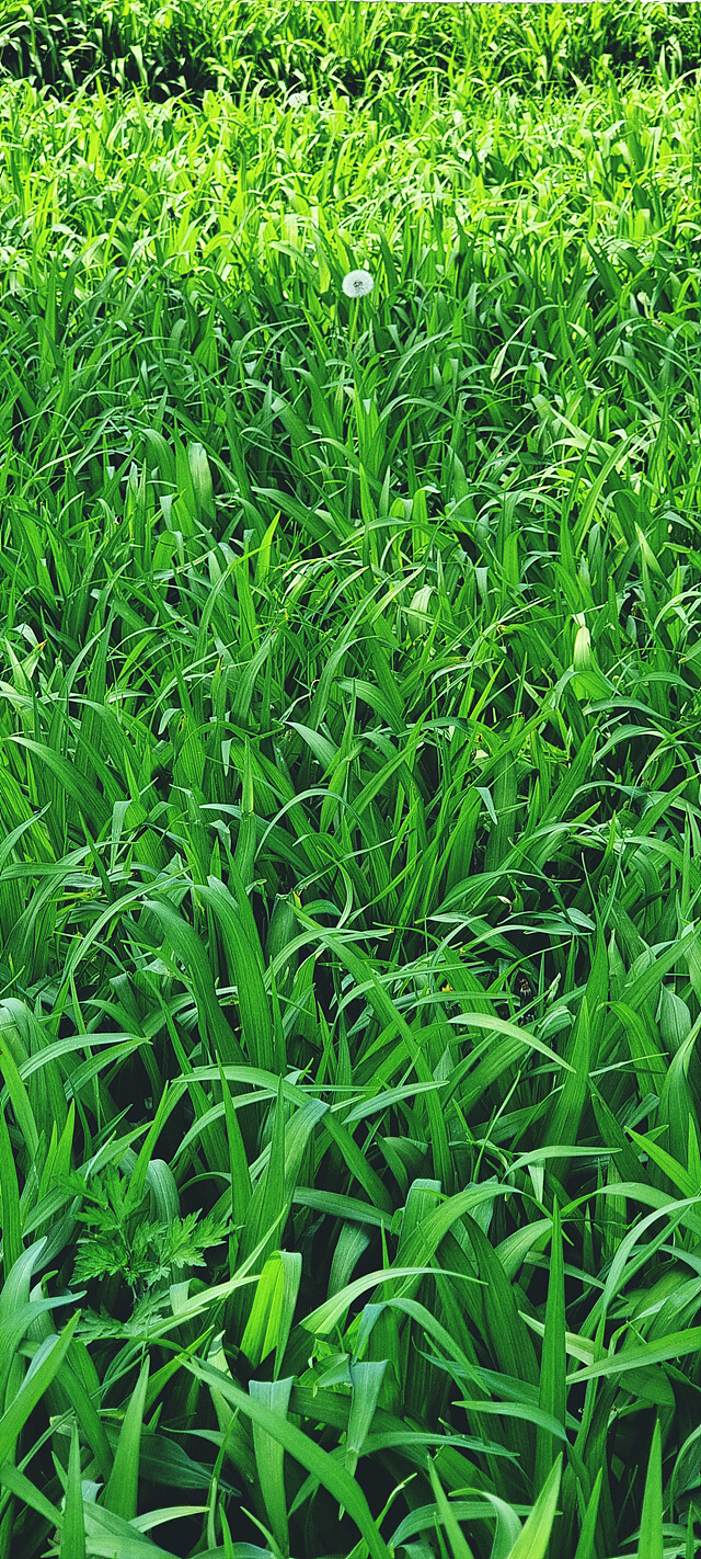 외부 온도 30도 현황.jpg