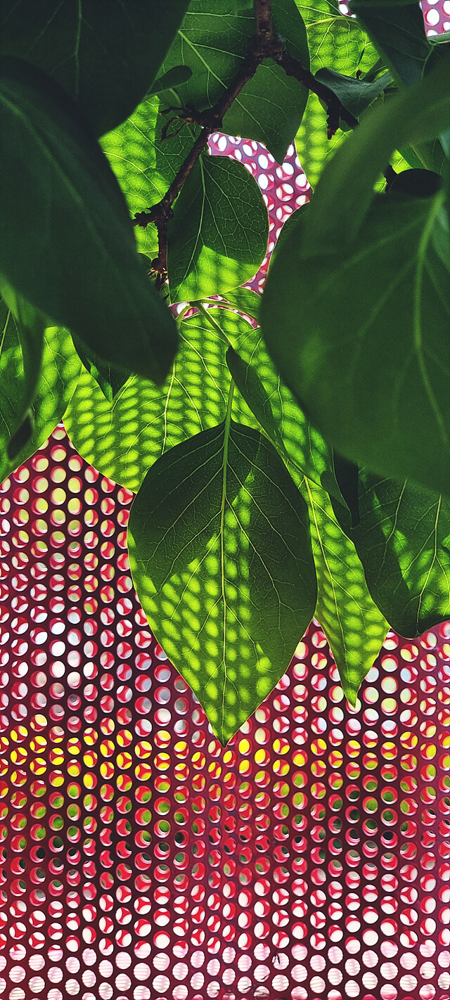 외부 온도 30도 현황.jpg