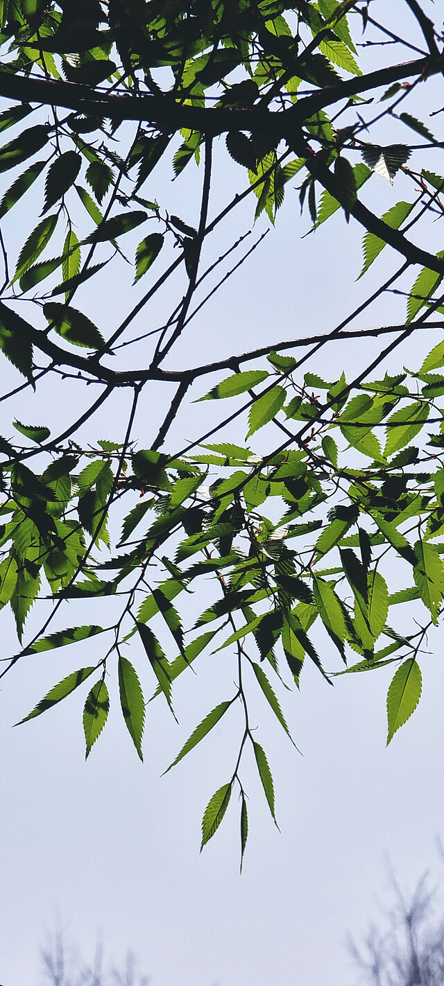 외부 온도 30도 현황.jpg