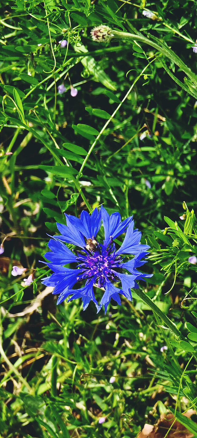 외부 온도 30도 현황.jpg