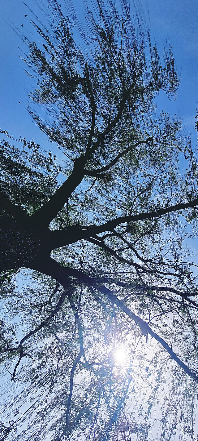 외부 온도 30도 현황.jpg