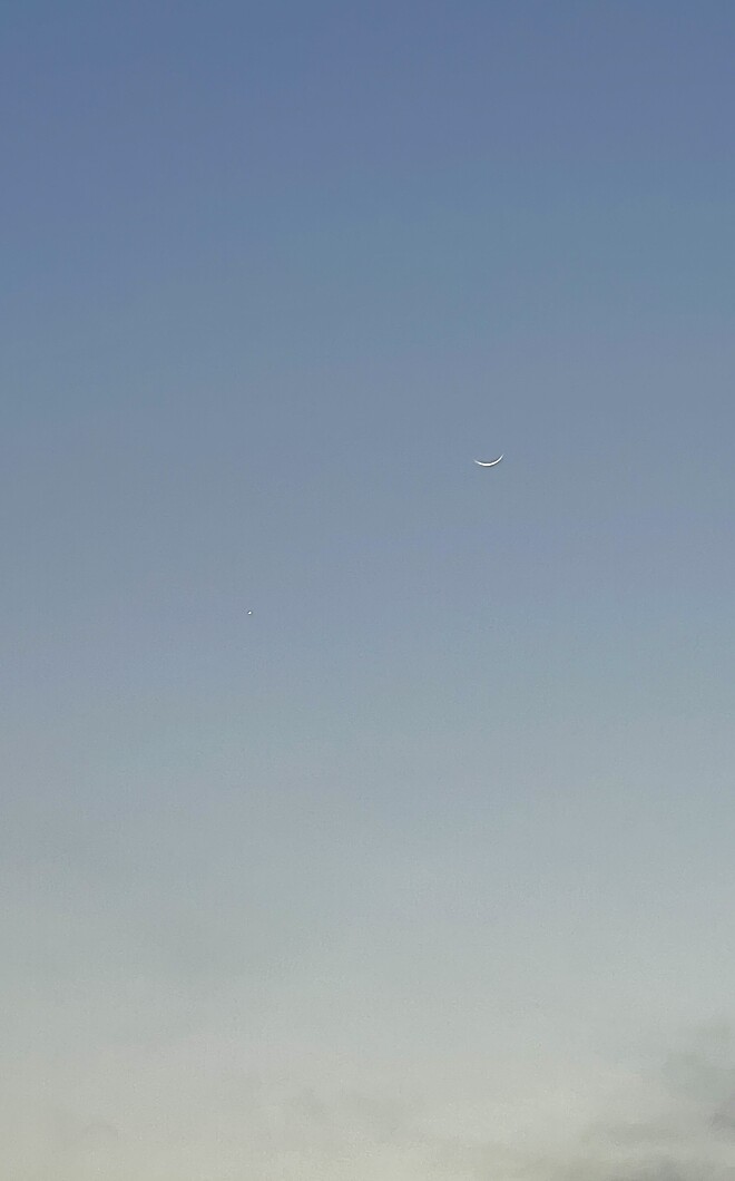 지금 서쪽하늘 보세요(종료)