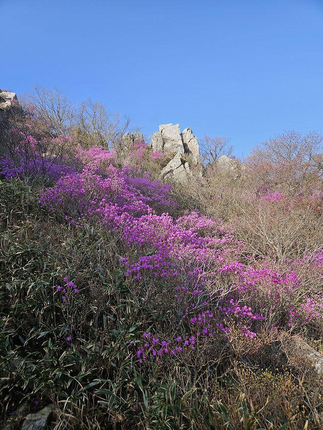 해남 달마산에 다녀왔어요.